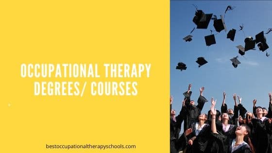 Occupational Therapy Degrees: Courses