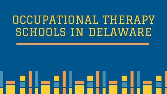 Occupational Therapy Schools in Delaware