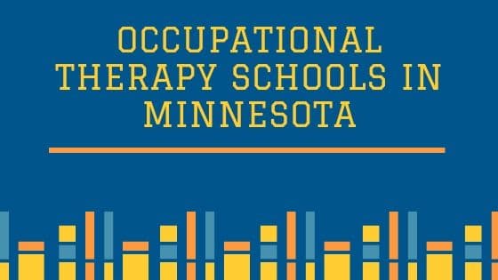 Top 3 Occupational Therapy Schools in Minnesota