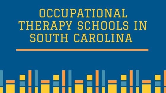 Top 3 Occupational Therapy Schools in South Carolina